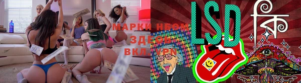стаф Бугульма