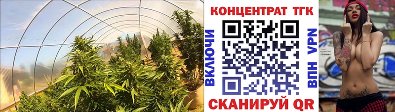 Купить закладки  Липки  ТГК гашишное масло 