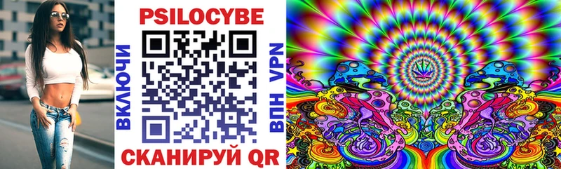 Купить  Липки  Псилоцибиновые грибы Psilocybine cubensis 